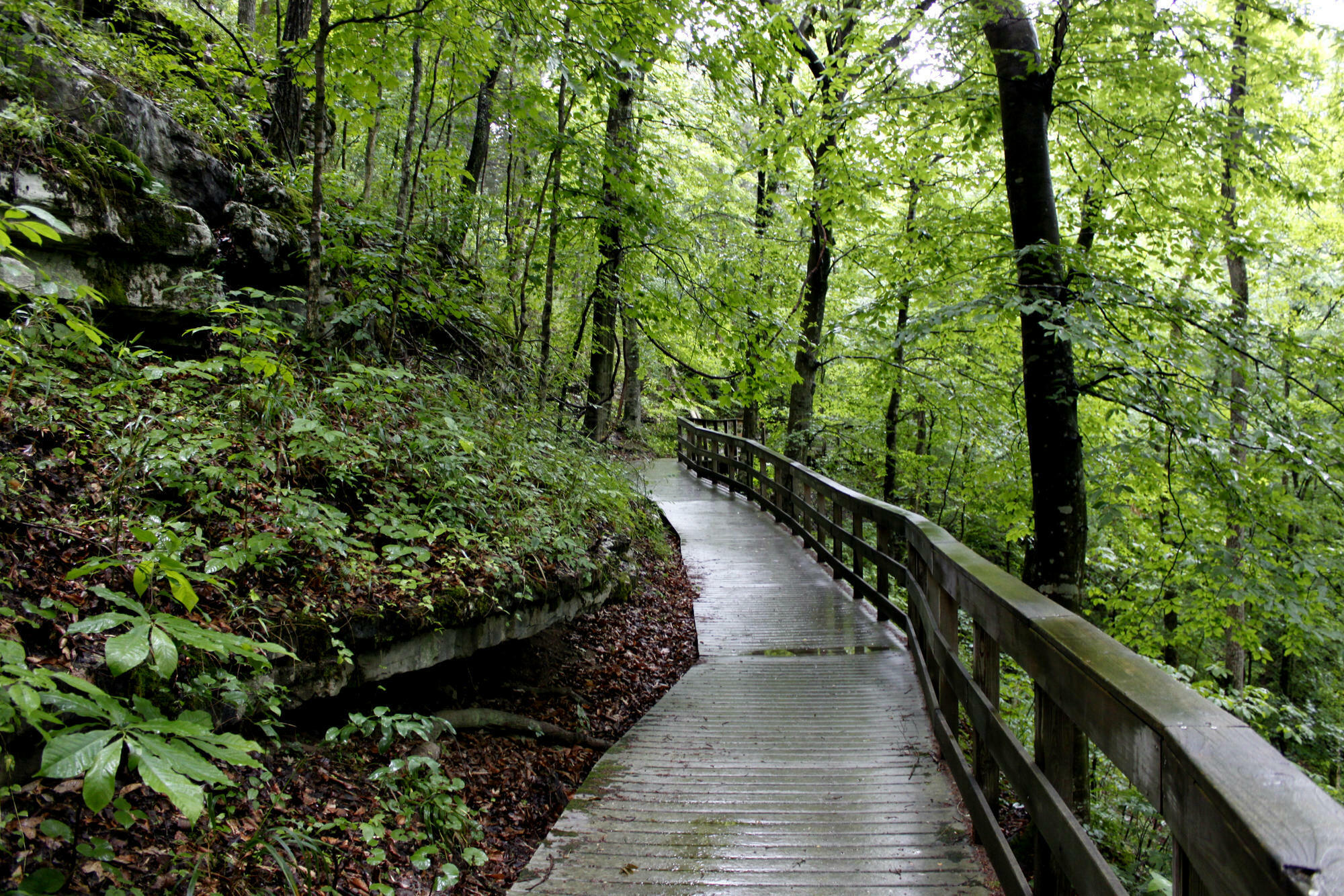 Step Into Autumn: 5 National Park Trails For Fall