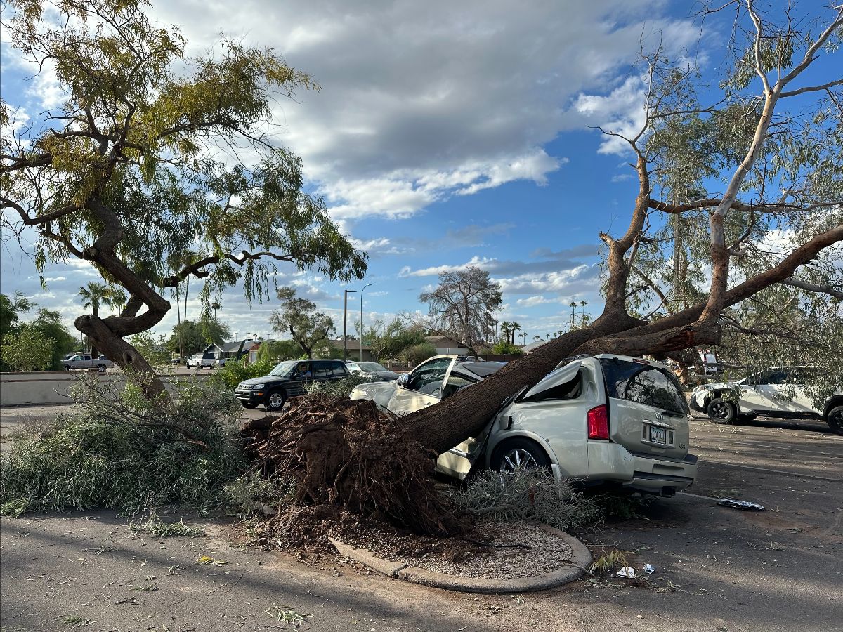 City responding to severe storm damage with emergency teams and temporary shelter 
