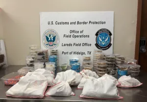 CBP officers seize more than 160 species of reptiles and arthropods at Anzalduas International Bridge