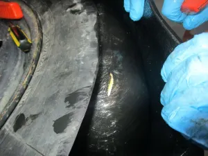 CBP officers seize record-setting $13M in heroin at San Ysidro Port of Entry