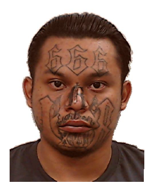 ICE Arrests So-Called Non-Criminal Illegal Alien Who is Actually a Wanted Killer and Gang Member