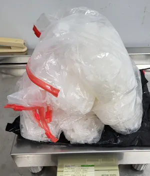 Philadelphia CBP Officers seize nearly 7 pounds of methamphetamine destined to the Netherlands