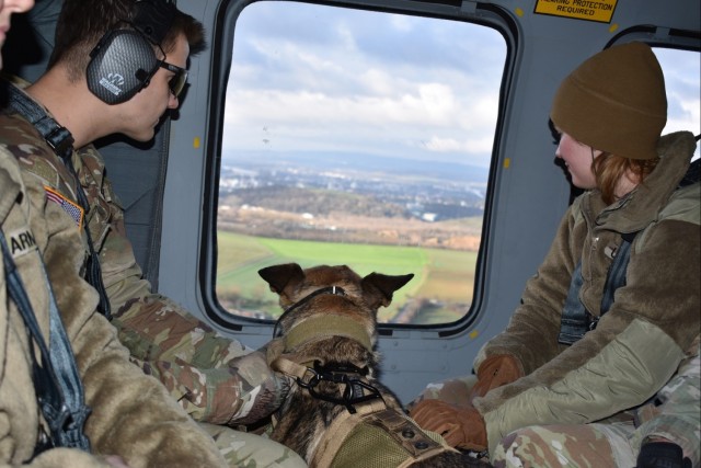 MEDEVAC training enhances military working dog readiness