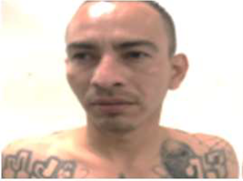 WOW.DHS.GOV: ICE Arrests Worst of Worst Including Murderers, MS-13 Gang Members, and Rapists