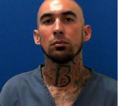 MAKING AMERICA SAFE: DHS Arrested 7,000 Gang Members from American Streets in First Year of Trump Administration