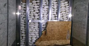 CBP Officers Seize Over 3,000 Pounds of Methamphetamine at Otay Mesa Commercial Facility