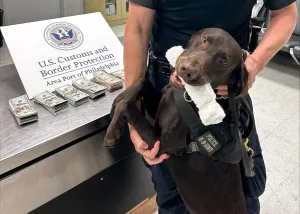 Philadelphia CBP officers, K9 Nitro seize $44k in unreported currency from Mexico-bound traveler