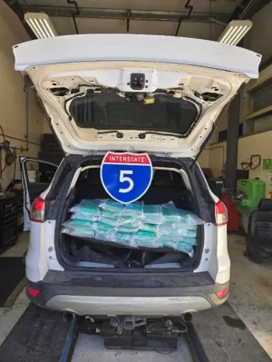 U.S. Border Patrol agents seize cocaine worth nearly $1.5M