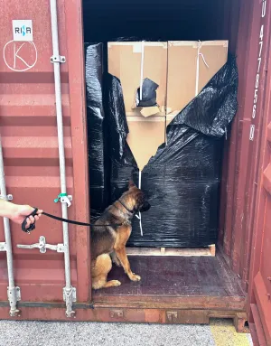Baltimore CBP officers intercept 5-tons of marijuana bound to England