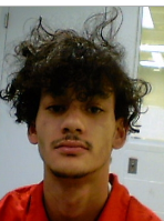 ICE Lodges Detainer for Illegal Alien Arrested for Carjacking in Virginia