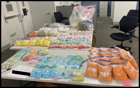 Two Criminal Aliens Convicted for Deadly Mass Pharmaceutical Scam